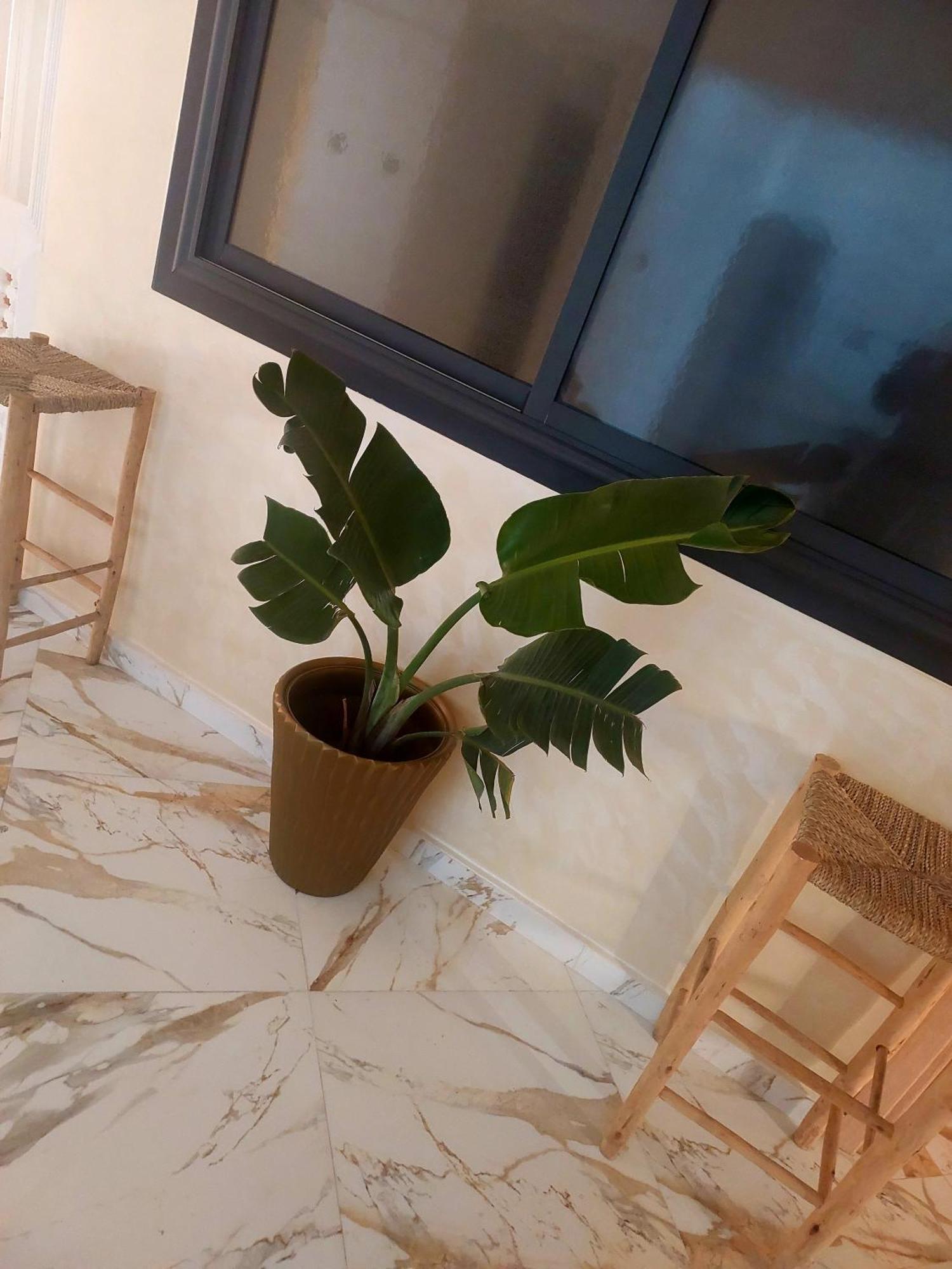 Mogador T6 Apartamento Esauira