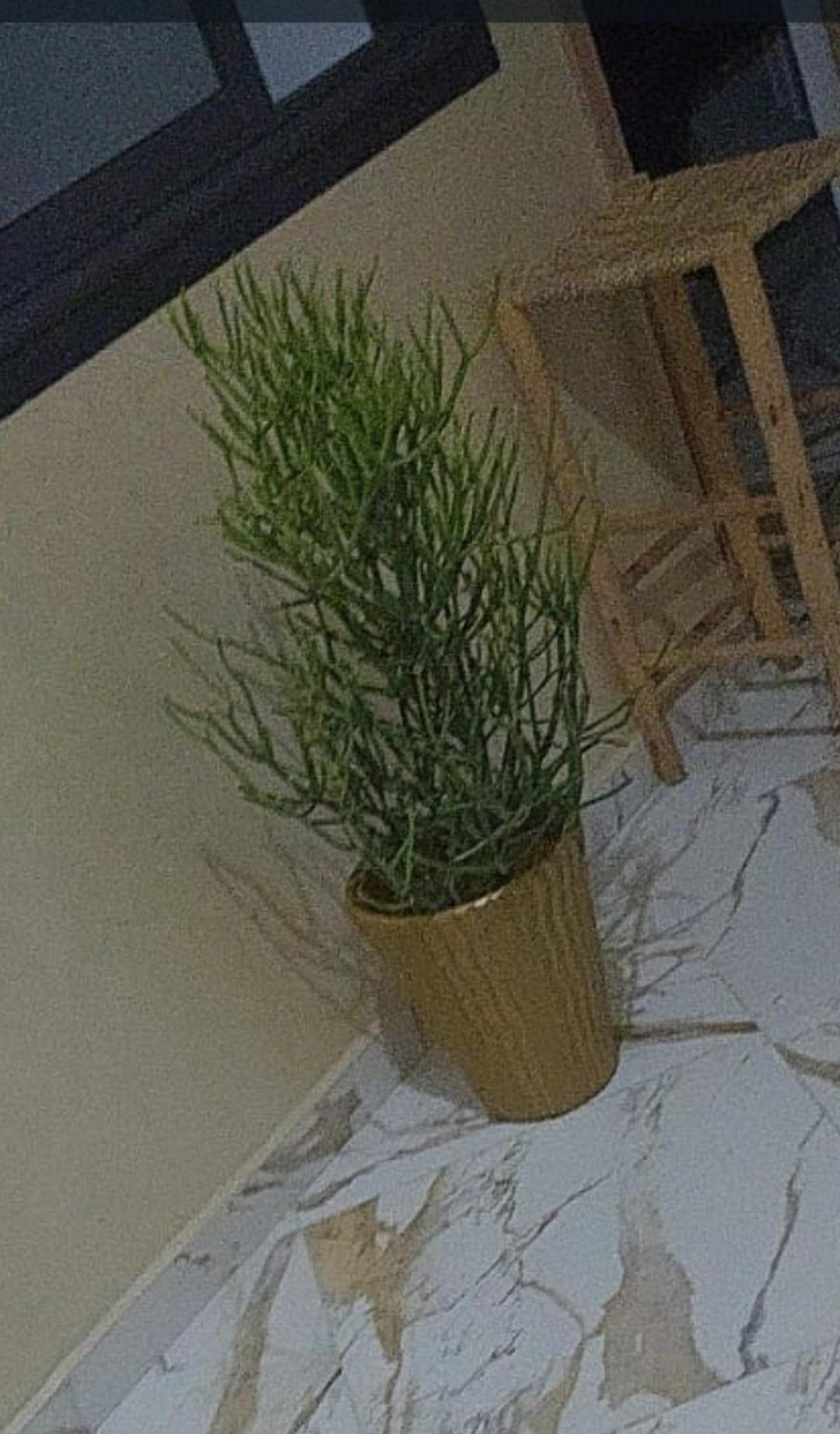 Apartamento Mogador T6 Esauira